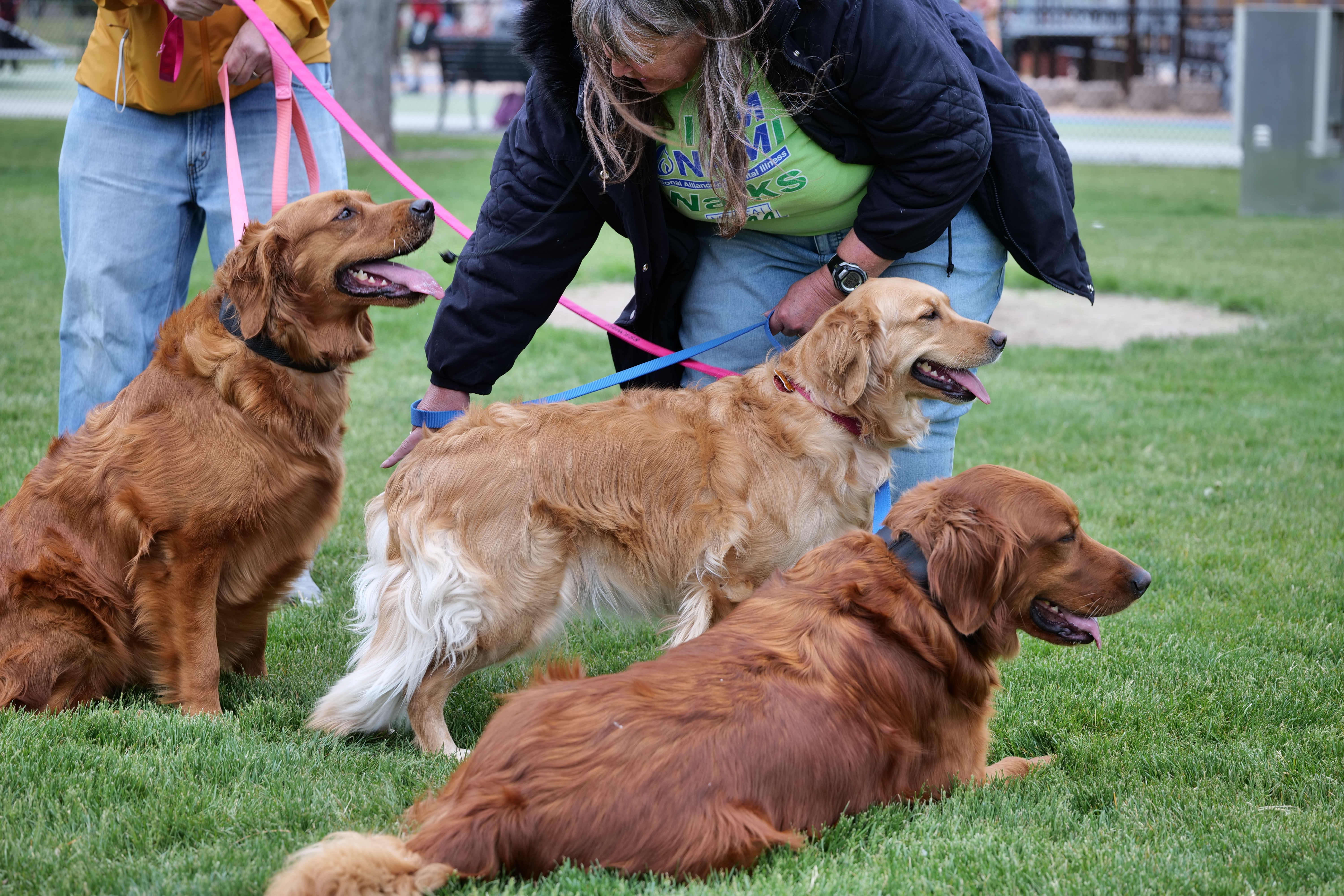 NAMI Walk 05172025 sf 0336